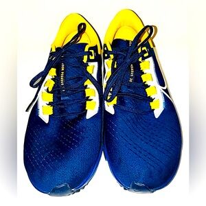 Nike Air Zoom Pegasus 38 Los Angeles Rams Mens Sneakers DJ0851-400 Sz:11 Prelove